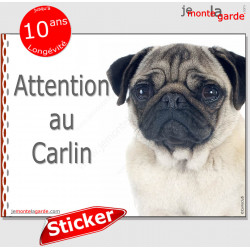 Carlin fauve sable beige, panneau photo autocollant "Attention au Chien" Pancarte sticker adhésif, affiche portail boite lettre