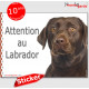 Labrador marron chocolat, panneau autocollant "Attention au Chien" Pancarte photo sticker adhésif Retriever