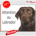 Labrador, autocollant "Attention au Chien" 16 cm