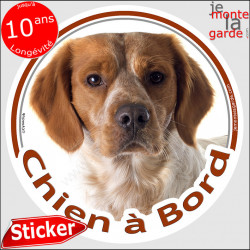 Epagneul Breton, sticker voiture rond "Chien à Bord" 2 tailles