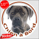 Cane Corso gris, sticker autocollant rond "Chien à Bord" Disque photo adhésif vitre voiture bringué