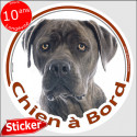 Cane Corso, sticker voiture "Chien à Bord" 15 cm