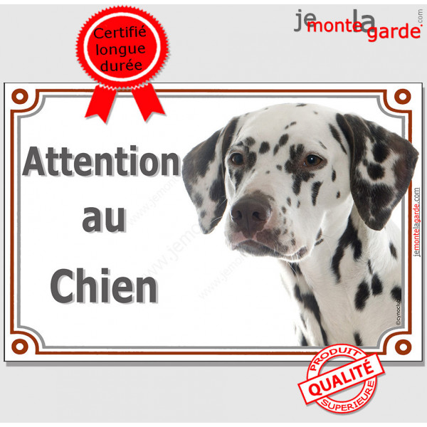 Dalmatien avec des taches marron foie, plaque portail "Attention au Chien" pancarte panneau photo