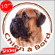 Bullmastiff Fauve , sticker autocollant rond "Chien à Bord" Disque photo adhésif voiture