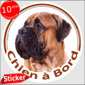 Bullmastiff Fauve, sticker "Chien à Bord" 15 cm
