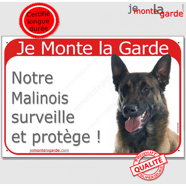 Berger Belge Malinois couché, plaque portail rouge "Je Monte la Garde surveille et protège" pancarte panneau photo