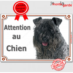 Terrier Kerry Blue, plaque portail "Attention au Chien" pancarte panneau photo
