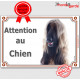 Lévrier Afghan fauve sable, plaque portail "Attention au Chien" pancarte panneau photo