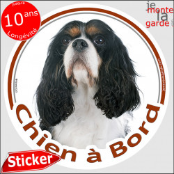 Cavalier tricolore, sticker "voiture Chien à Bord" 14 cm