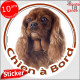 Cavalier King Charles Rubis marron rouge, sticker autocollant rond "Chien à Bord" adhésif vitre voiture disque rond photo