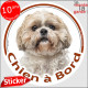 Shih-Tzu fauve marron Tête, sticker autocollant rond "Chien à Bord" disque adhésif vitre voiture photo