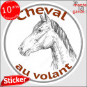 sticker rond "Cheval au Volant" humour absurde 14 cm