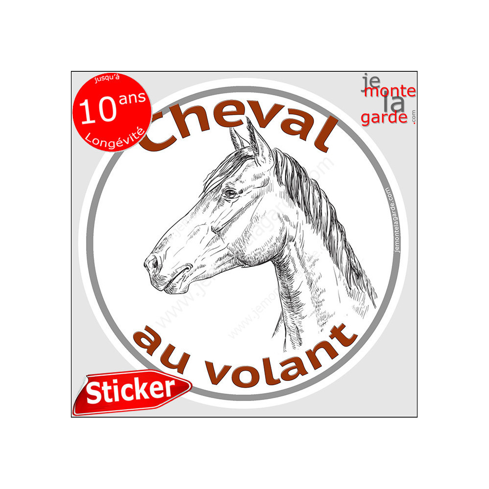 Stickers chevaux pour van on sale