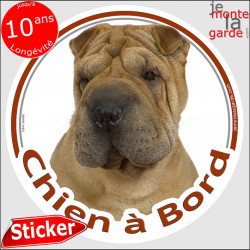 Shar-Peï fauve, sticker voiture "Chien à Bord" 14 cm