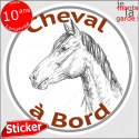 sticker rond "Cheval à Bord" humour absurde 14 cm