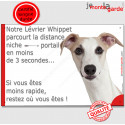 Whippet, plaque humour "distance Niche - Portail" 24 cm 3SEC