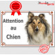 Colley fauve, plaque portail "Attention au Chien" pancarte panneau photo, Berger d'Ecosse marron Lassie