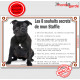 Staffie noir Assis, plaque "Les 8 Souhaits Secrets" pancarte panneau idée cadeau réglement commandement photo cadre terrier