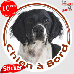 Epagneul Breton noir et blanc, sticker voiture autocollant rond "Chien à Bord" Disque adhésif Espagnol photo