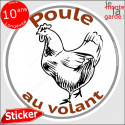 sticker rond "Poule au volant" humour absurde 14 cm