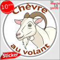 sticker rond "Chèvre au volant" humour absurde 14 cm