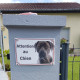 photo client- Cane Corso gris, pancarte portail "Attention au Chien" Plaque photo race, Panneau Italiano bleu affiche