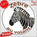 sticker rond "Zèbre au volant" humour absurde 14 cm