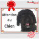 Chien d'Eau Espagnol complètement tout noir, plaque portail "Attention au Chien" pancarte photo panneau race affiche totalement 