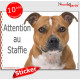 Staffie fauve marron, sticker autocollant "Attention au Chien" Staffordshire Bull Terrier, panneau adhésif photo lisse blanche