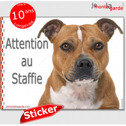 Staffie fauve, autocollant "Attention au Chien" 16 cm