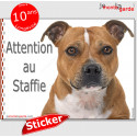 Staffie fauve, autocollant "Attention au Chien" 16 cm