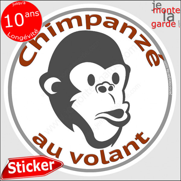 sticker rond "Chimpanzé au volant" humour absurde voiture remorque photo tête Disque autocollant adhésif singe homme babouin mac