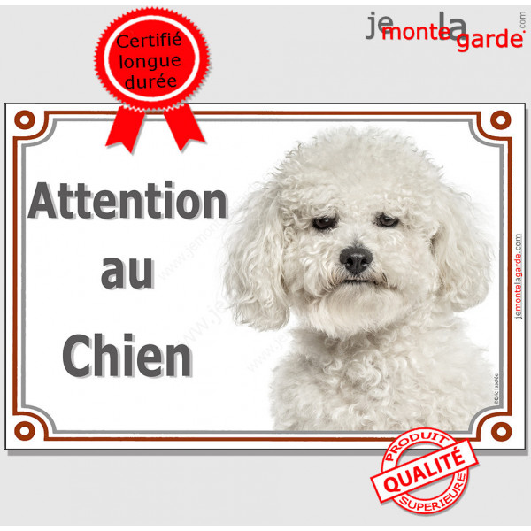 Bichon Frisé, plaque portail "Attention au Chien" pancarte panneau photo