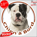 Bouledogue Américain, sticker "Chien à Bord" 14 cm