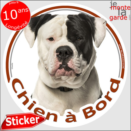 Bouledogue Américain Blanc avec des taches noires, sticker autocollant rond "Chien à Bord" Disque adhésif vitre voiture, Bulldog
