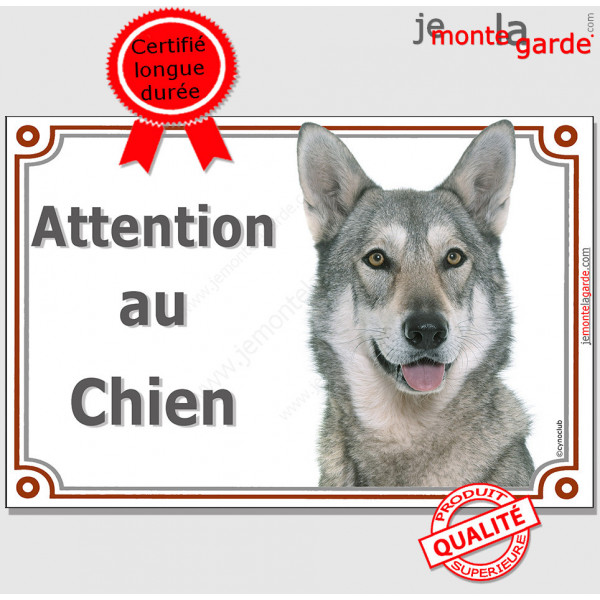 Chien Loup de Saarloos tête, plaque portail "Attention au Chien" pancarte panneau saarlos sarloos photo