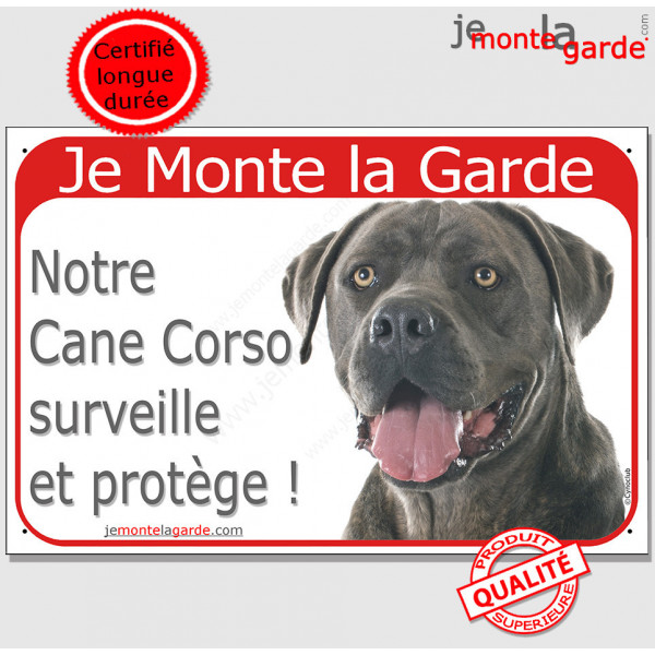 Cane Corso gris bleu, plaque portail rouge "Je Monte la Garde, surveille et protège" pancarte photo panneau bringé italiano