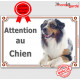 Berger Australien bleu merle, plaque portail "Attention au Chien" pancarte panneau photo aussie couché