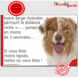 Berger Australien Rouge Merle, plaque humour "distance Niche - Portail en moins de 3 secondes" pancarte drôle photo Aussie
