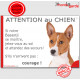 Basenji fauve, pancarte portail humour "Attention au Chien, Jetez Vous au Sol, attendez secours, courage" photo pancarte