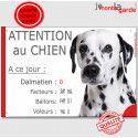 Dalmatien, plaque "Nombre de Voleurs, ballons, facteurs, Attention au Chien" 24 cm NBR