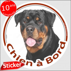 Rottweiler, sticker autocollant rond "Chien à Bord" Disque photo adhésif vitre voiture