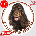 Cocker Anglais Chocolat, sticker voiture rond "Chien à Bord" 14 cm