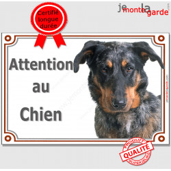 Berger de Beauce Arlequin Tête, plaque portail "Attention au Chien" pancarte panneau Beauceron merle Harlequin photo