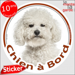 Bichon Frisé, sticker voiture "Chien à Bord" 14 cm