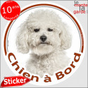 Bichon Frisé, sticker voiture rond "Chien à Bord" 2 tailles