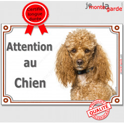 Caniche abricot, plaque portail "Attention au Chien" pancarte panneau photo