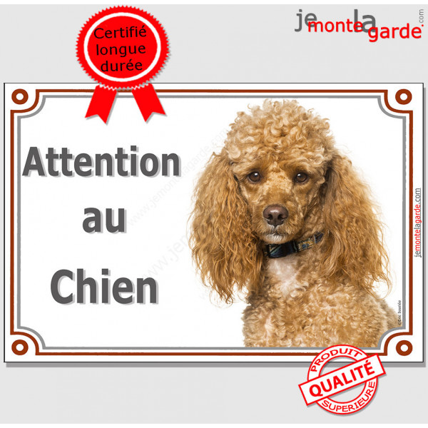 Caniche abricot, plaque portail "Attention au Chien" pancarte panneau photo