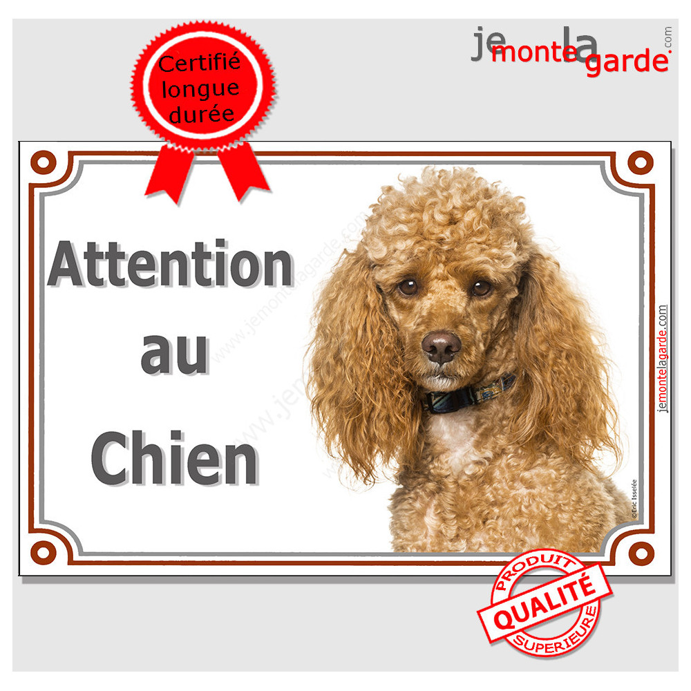 Attention au Chien French Enamel Plaque, Large