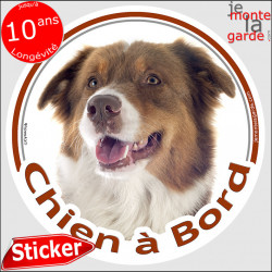 Berger Australien Tricolore Rouge Tête, sticker autocollant rond "Chien à Bord" Disque adhésif photo